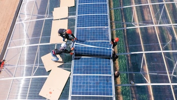 Cómo funcionan los innovadores paneles