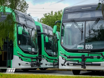 Tres autobuses eléctricos verdes y blancos de la marca Marcopolo Yutong, con los números 043, 036 y 035, estacionados en fila bajo un cielo nublado y árboles