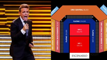 Luis Miguel dará dos conciertos