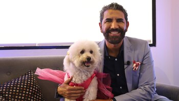 Pipoca es una perrita de