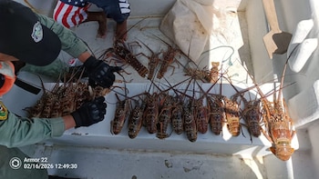 Panamá activa calendario de protección