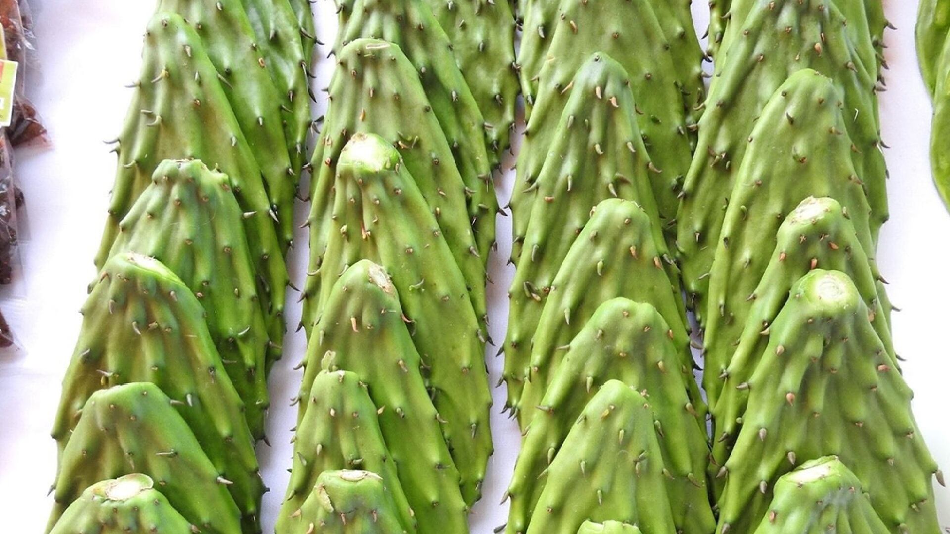 El nopal proporciona vitaminas C y A, además de calcio, potasio y magnesio, claves para la inmunidad y huesos fuertes. - (Gob. Edomex)