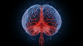 La memoria procedimental, como la