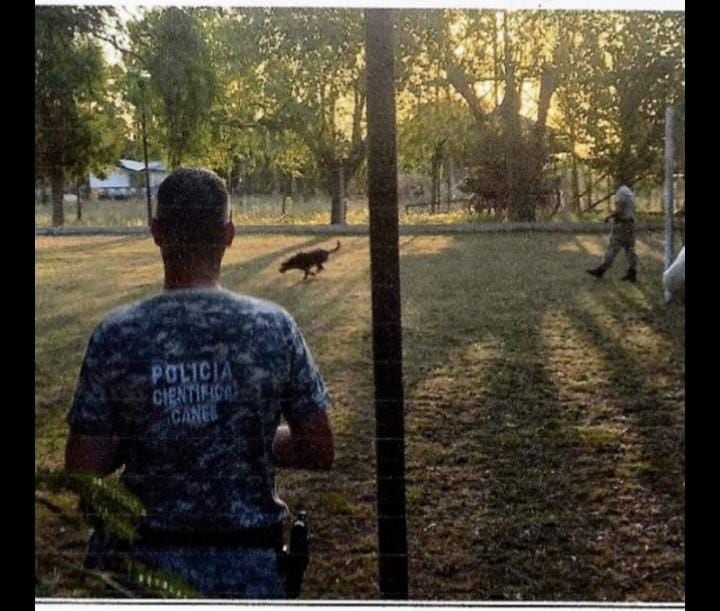 Perros policiales olfatean el terreno de los Centurión. Foto enviada por el acusado