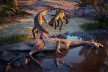 210 million years ago, Eosphorosuchus lacrimosa (left) is disturbed by Hesperosuchus agilis (right) near a Coelophysis carcass at what will become modern-day Ghost Ranch, New Mexico.