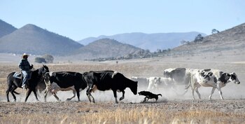 La tranquilidad de la comunidad