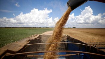 Quejas en el campo por una medida del Banco Central que limita el financiamiento para los productores