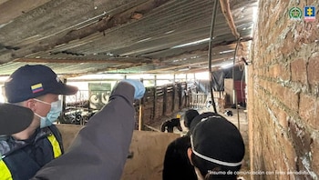 El matadero no tenía permisos