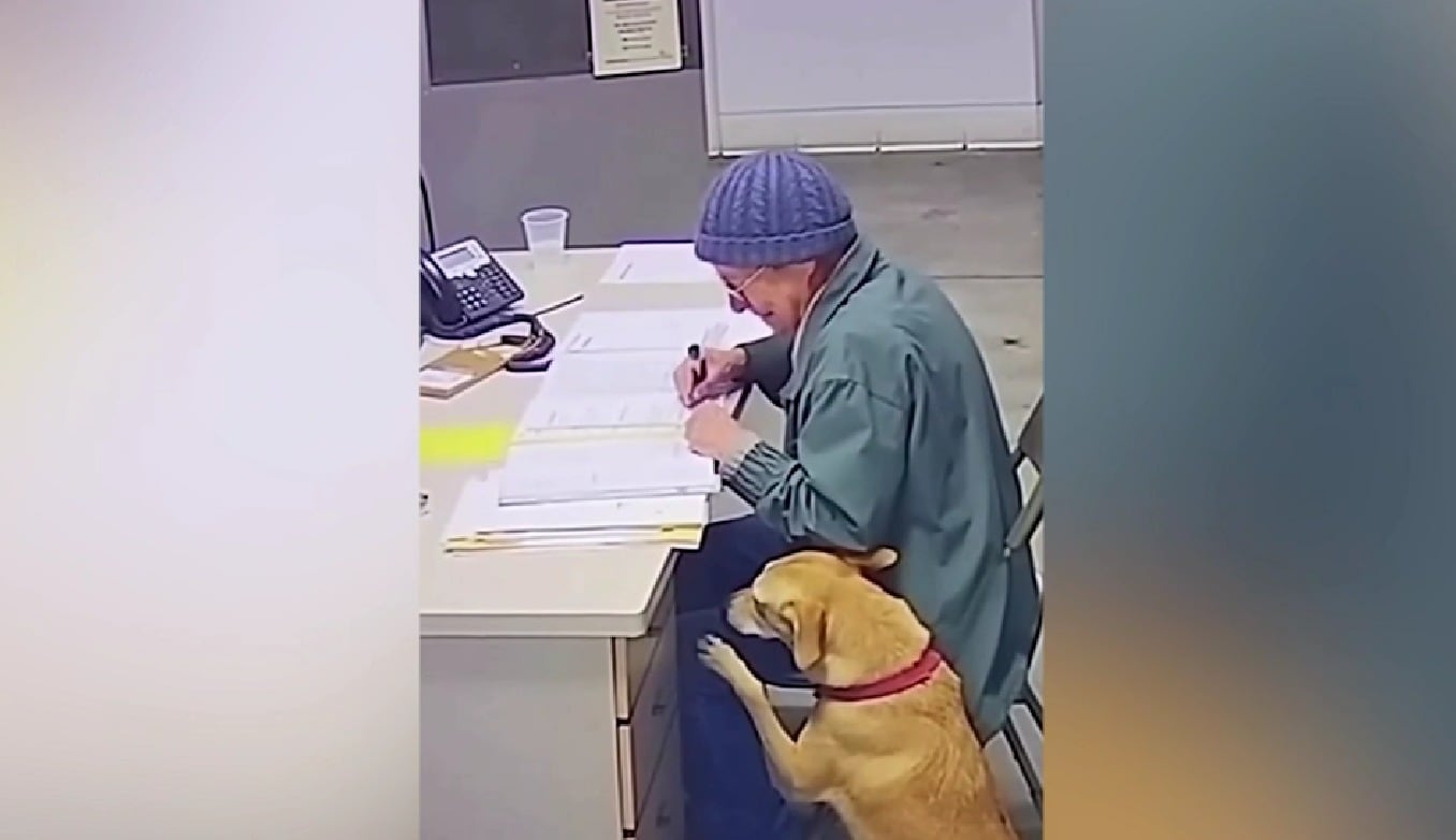 La salud de Margaret Foster se deterioró y un médico le recomendó mudarse a una residencia con asistencia en Lexington (Captura de video)