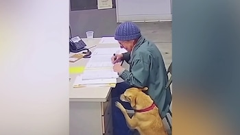 Tiene 76 años y debió separarse de su perro después de ocho años juntos: la emotiva despedida que se volvió viral