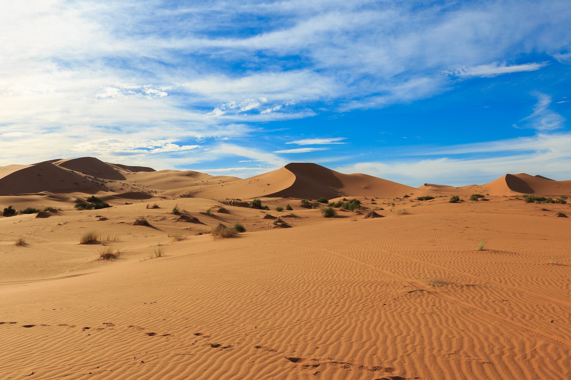 Cada año, millones de toneladas de polvo del desierto del Sahara alcanzan Europa, alterando tanto la cantidad de luz solar disponible como la capacidad de los paneles solares para generar energía (Freepik)
