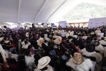 Se ordenaron acciones inmediatas al