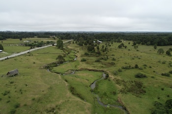 Dos personas, una de rodillas y otra agachada, examinan las capas de tierra expuestas en la orilla de un arroyo, con pasto verde alrededor