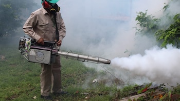 Panamá arranca 2026 con 675