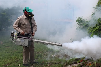 Las autoridades sanitarias intensifican operativos