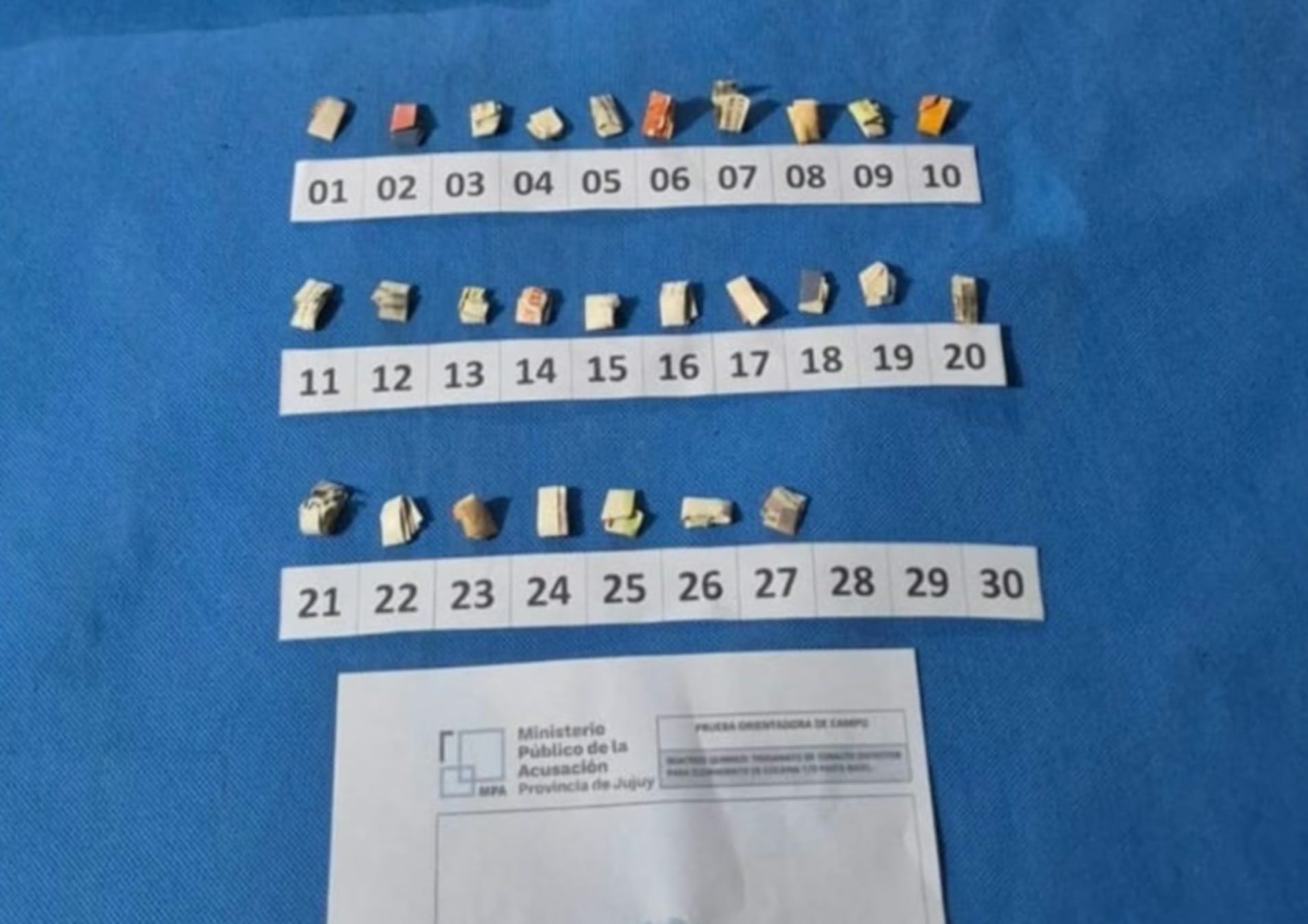Las fuerzas de seguridad secuestraron 354 dosis de cocaína y pasta base, además de 692 dosis de marihuana y diversos plantines de cannabis sativa (Ministerio de Seguridad)