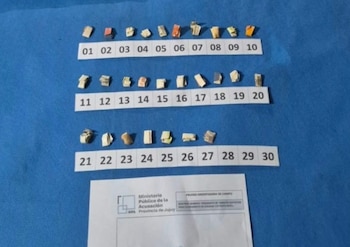 Las fuerzas de seguridad secuestraron 354 dosis de cocaína y pasta base, además de 692 dosis de marihuana y diversos plantines de cannabis sativa (Ministerio de Seguridad)