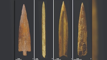 Descubren cómo era la técnica