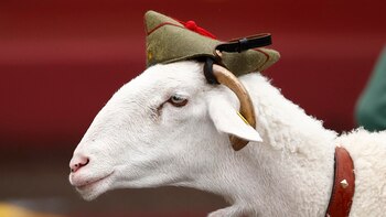 Quién es Killo, la nueva