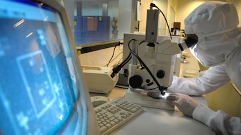 En el CONICET, existen tres