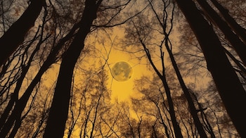 La luna muestra una parte