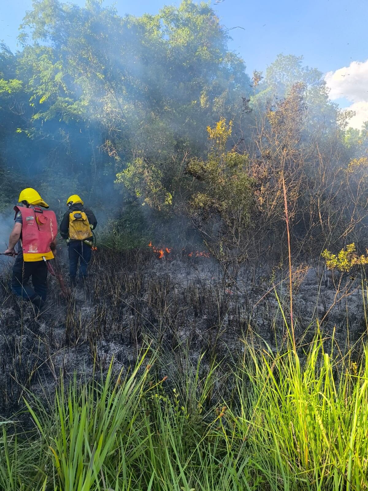 La División Bomberos de Santa Ana fue alertada sobre un foco ígneo declarado en una amplia zona de vegetación (Facebook Policía de Misiones)