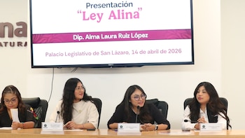 “Ley Alina”: la propuesta que busca reconocer la legítima defensa de mujeres víctimas de violencia