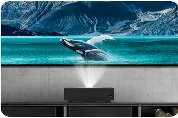 Un proyector negro debajo de una pantalla grande que muestra una ballena emergiendo de un mar azul con montañas al fondo, sobre una pared de concreto