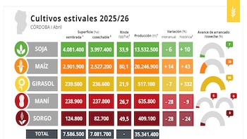Soja y maíz con buenas perspectivas en Córdoba