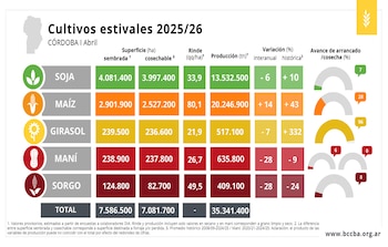 Desarrollo de los cultivos estivales 2025/26 en Córdoba