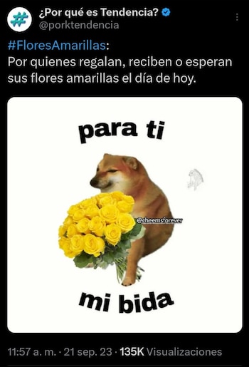 Mexicanos no recibieron flores amarillas
(captura