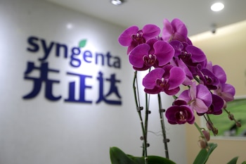 ChemChina, que compró Syngenta en