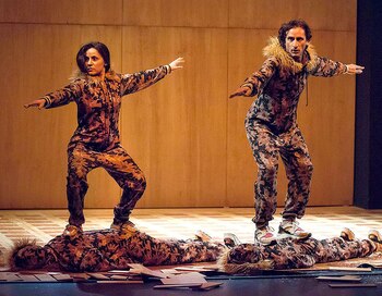 El movimiento y la performance