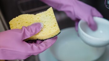 Las esponjas o estropajos son