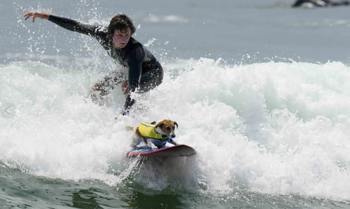 Efruz ama surfear en la