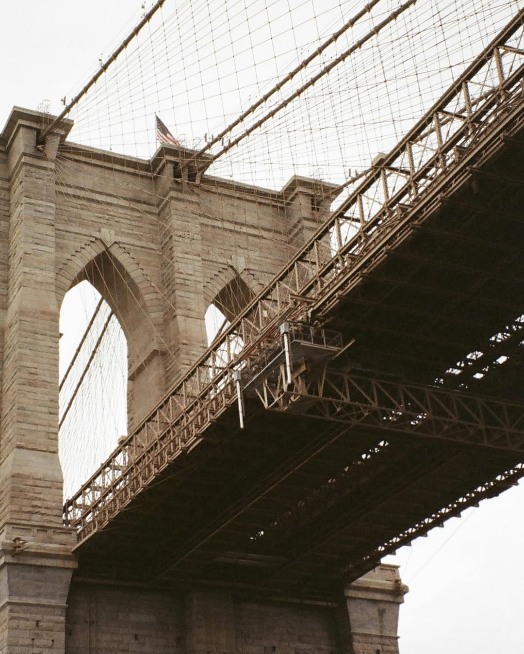 Se documentó una estampida en el Brooklyn Bridge a los seis días de su apertura, con doce muertos y 36 heridos, lo que llevó a una prueba pública de resistencia con animales (IG: @revistamustique)