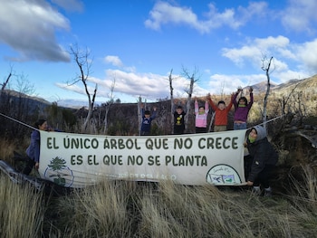 Vivero Niños del Lago