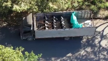 Ejército frustó atentado del ELN en La Gloria, Cesar: abandonaron camión con un arsenal de explosivos listos para detonar