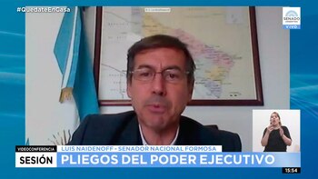 Luis Naidenoff, presidente del interbloque