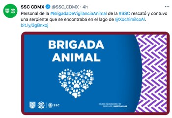 La SSC dio a conocer