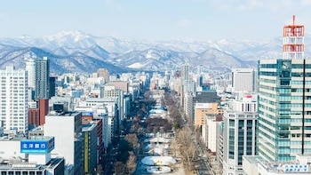 Entre esculturas de hielo, jardines públicos y ferias gastronómicas: así se transforma el centro de Sapporo todo el año