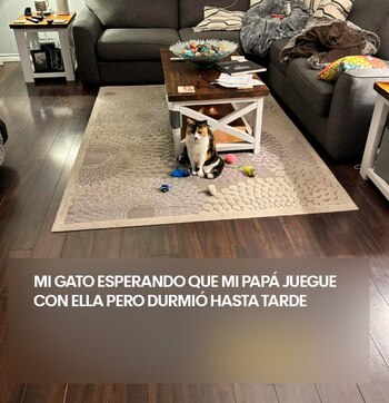 El video acumuló más de