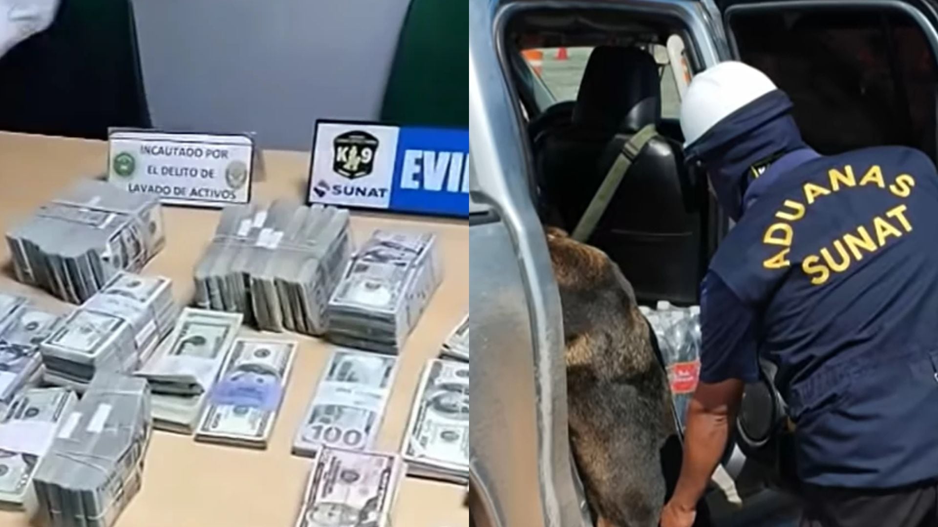 El olfato de un perro aduanero descubrió cerca de medio millón de dólares ocultos en un compartimento secreto de un auto en Tacna