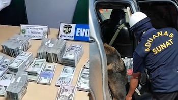El olfato de un perro aduanero descubrió cerca de medio millón de dólares ocultos en un compartimento secreto de un auto en Tacna