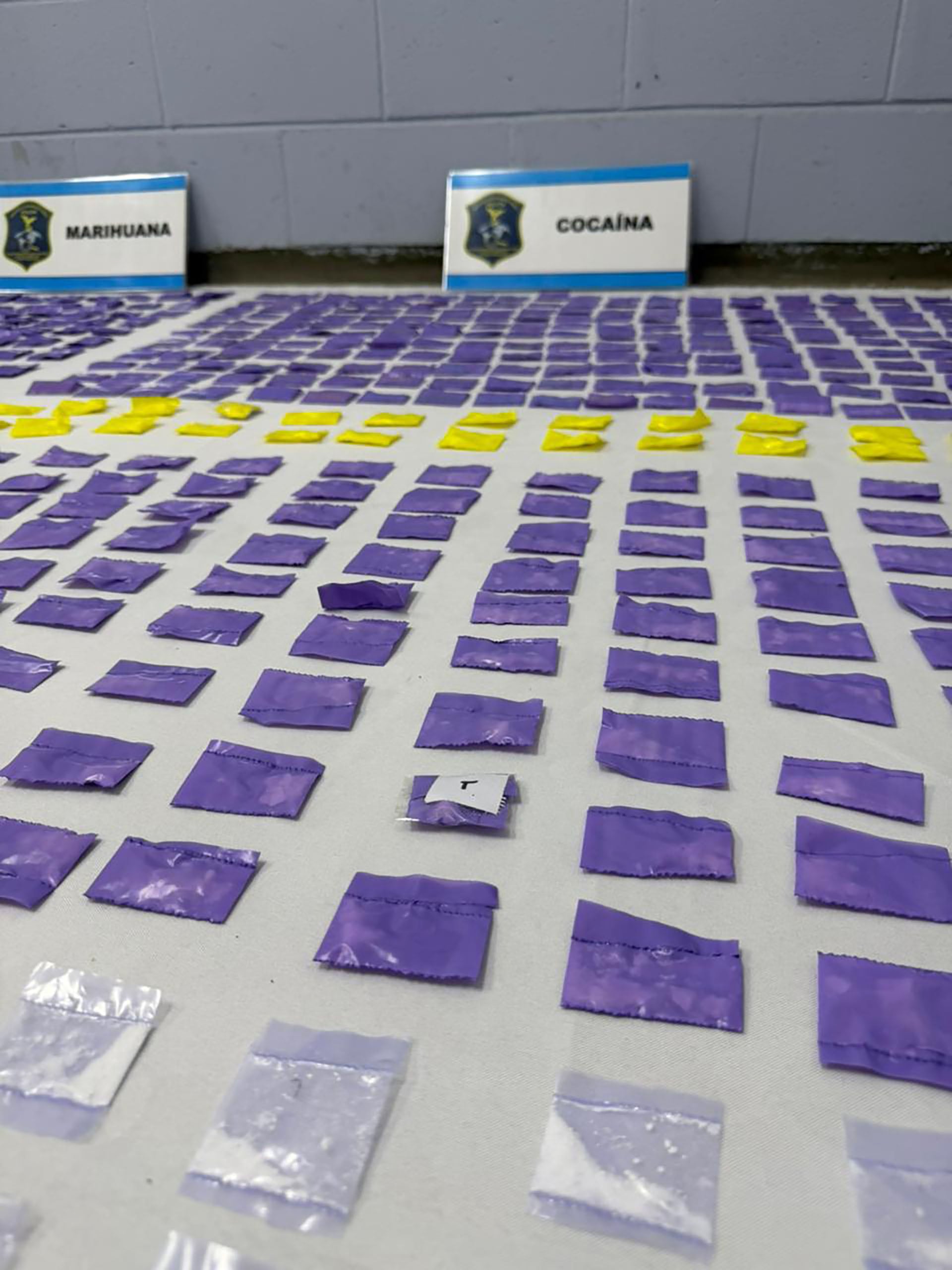 Una parte de la droga secuestrada en el operativo