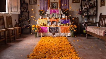 Qué significa el camino de pétalos de cempasúchil en la ofrenda de Día de Muertos