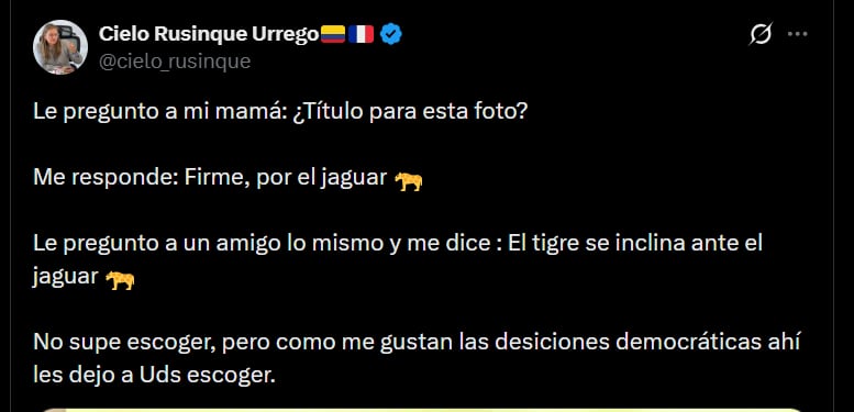 Cielo Rusinque compartió una fotografía relacionada con el jaguar, símbolo que llevó durante su posesión como magistrada del Consejo Nacional Electoral - crédito @cielo_rusinque/X