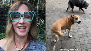 Vero Lozano puso a prueba a sus perros con “Jessica”, el desafío viral anti ladridos: “Es cosa de mandinga”