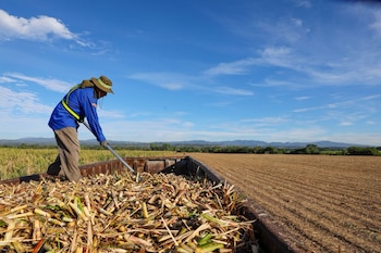 La inyección presupuestaria procede de