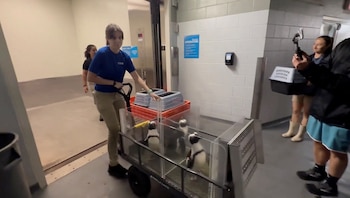 Refugios en Pinellas están dispuestos